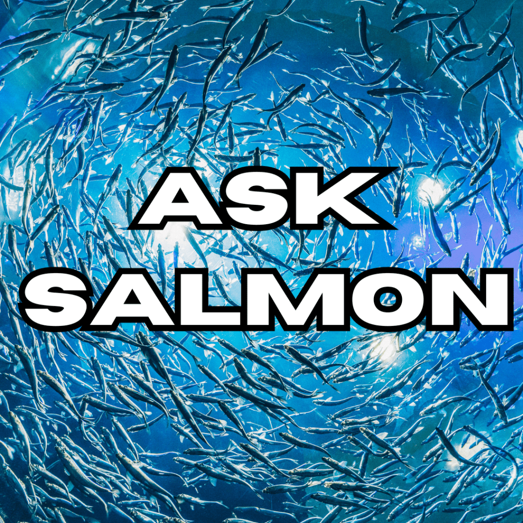 Ask Simone… or&nbsp;Salmon